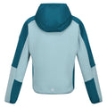 Sea Haze-Gulfstream - Back - Regatta Childrens-Kids Dissolver VII Full Zip Fleece Jacket