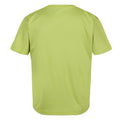Green Algae - Back - Regatta Childrens-Kids Alvarado VII Established T-Shirt