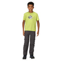 Green Algae - Lifestyle - Regatta Childrens-Kids Alvarado VII Established T-Shirt