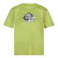 Green Algae - Front - Regatta Childrens-Kids Alvarado VII Established T-Shirt