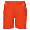 Rusty Orange-Blaze Orange - Front - Regatta Childrens-Kids Sorcer Mountain III Shorts