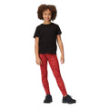 Mineral Red - Lifestyle - Regatta Childrens-Kids Barlia Zebra Print Winter Leggings