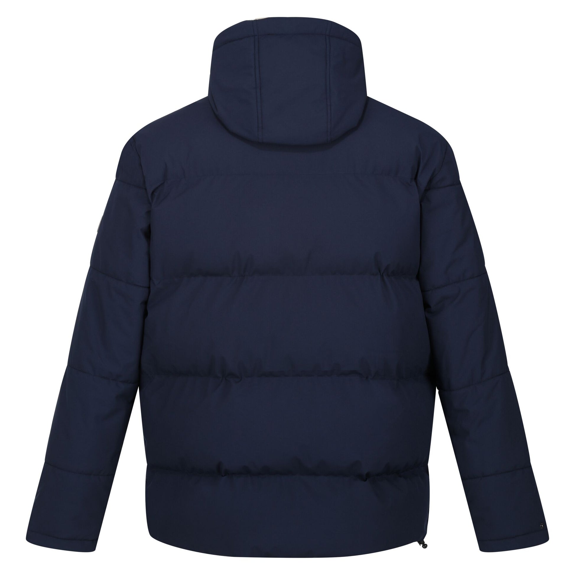 Navy - Back - Regatta Mens Falkner Padded Jacket