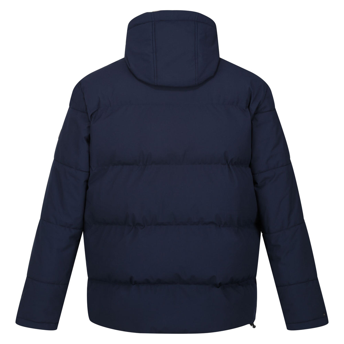Navy - Back - Regatta Mens Falkner Padded Jacket