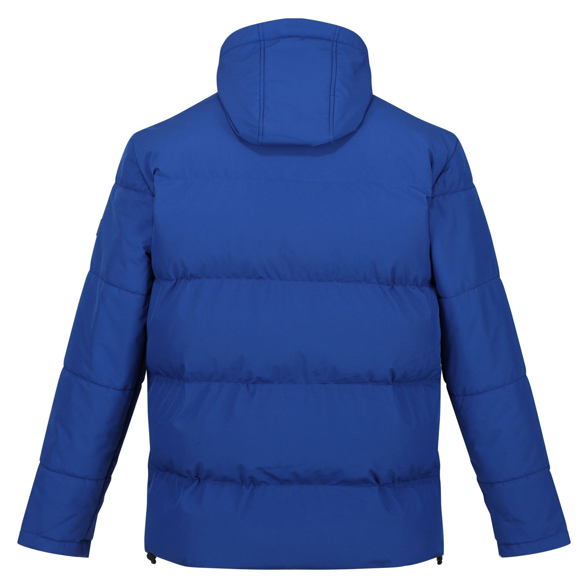 New Royal - Back - Regatta Mens Falkner Padded Jacket