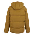 Umber - Back - Regatta Mens Falkner Padded Jacket