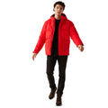 High Risk Red - Side - Regatta Mens Falkner Padded Jacket