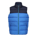 Strong Blue-Navy - Front - Regatta Professional Mens Colour Block Gilet