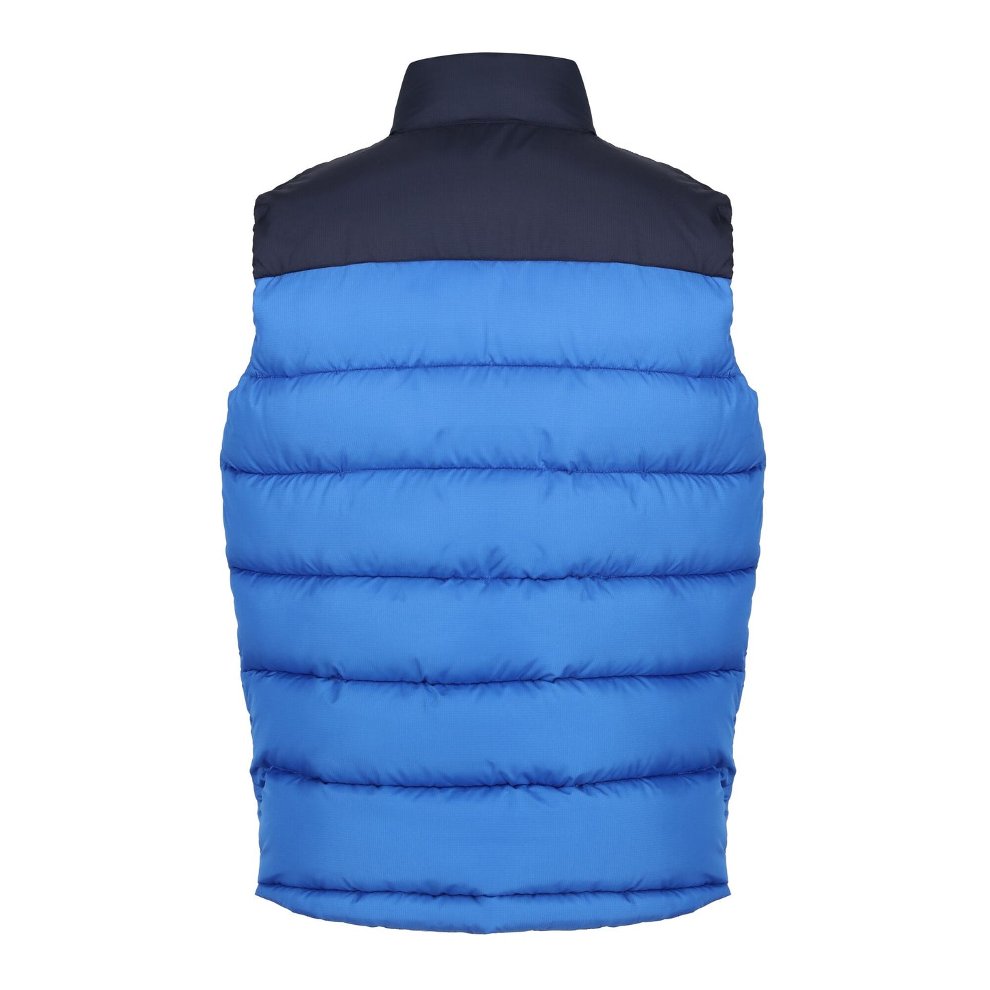 Strong Blue-Navy - Back - Regatta Professional Mens Colour Block Gilet
