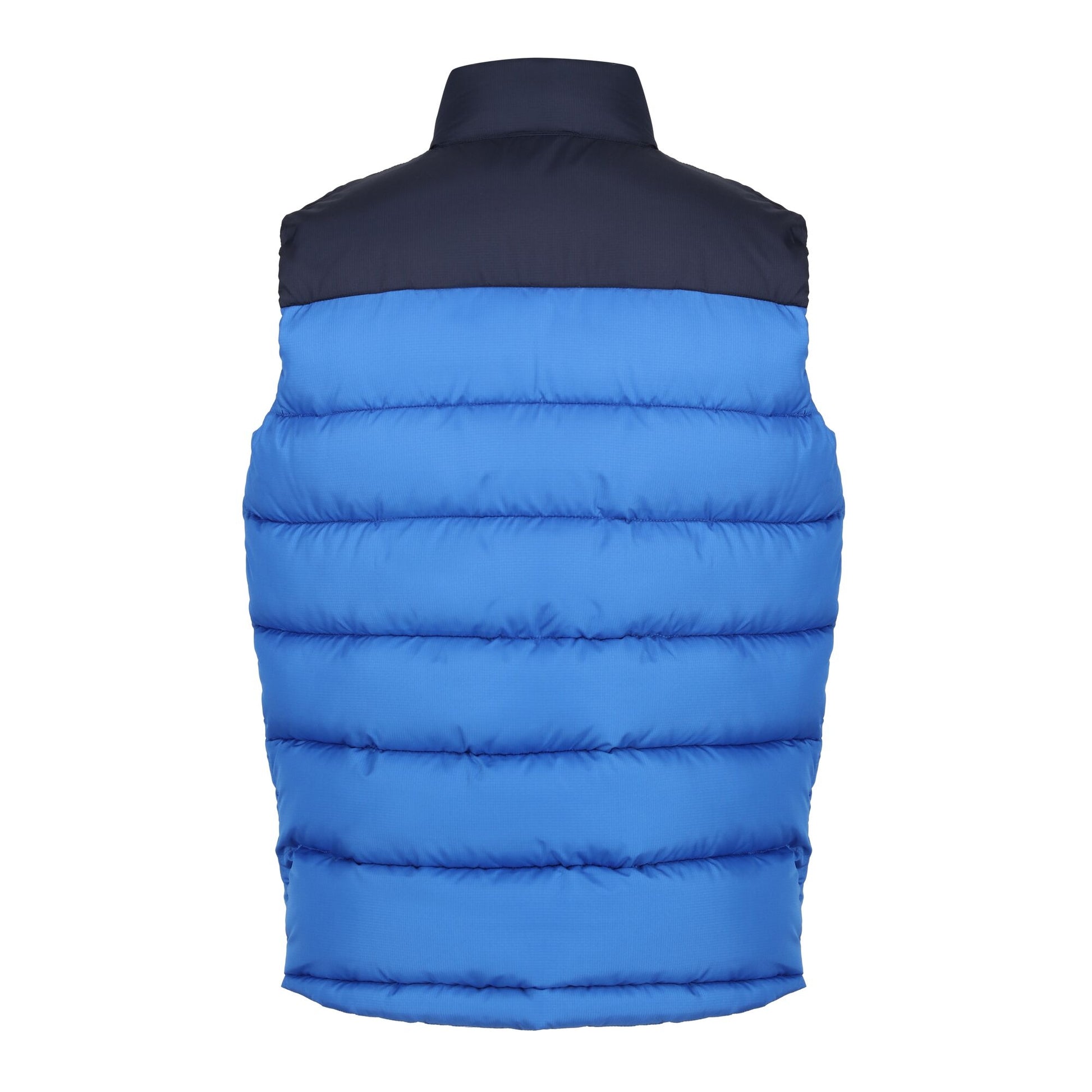 Strong Blue-Navy - Back - Regatta Professional Mens Colour Block Gilet