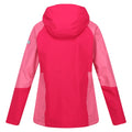 Pink Potion-Fruit Dove - Back - Regatta Womens-Ladies Highton IV Stretch Raincoat