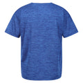 Strong Blue - Back - Regatta Childrens-Kids Findley Graphic Print Marl T-Shirt
