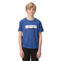 Strong Blue - Lifestyle - Regatta Childrens-Kids Findley Graphic Print Marl T-Shirt