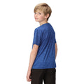 Strong Blue - Pack Shot - Regatta Childrens-Kids Findley Graphic Print Marl T-Shirt