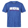 Strong Blue - Front - Regatta Childrens-Kids Findley Graphic Print Marl T-Shirt