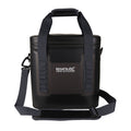 Ebony-Black - Front - Regatta Shield Tarpaulin Cooler Bag