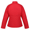 Miami Red - Back - Regatta Womens-Ladies Tulula Quilted Padded Jacket