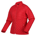 Miami Red - Side - Regatta Womens-Ladies Tulula Quilted Padded Jacket