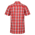 Seville - Back - Regatta Mens Mindano VII Checked Short-Sleeved Shirt