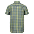 Ivy Moss - Back - Regatta Mens Mindano VII Checked Short-Sleeved Shirt