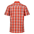 Rusty Orange - Back - Regatta Mens Mindano VII Checked Short-Sleeved Shirt