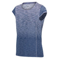 Dusty Denim-Ombre - Side - Regatta Womens-Ladies Hyperdimension II Ombre Sports T-Shirt