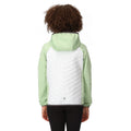 Quiet Green-White - Pack Shot - Regatta Childrens-Kids Kielder Hybrid VII Padded Jacket