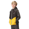 Seal Grey-California Yellow - Side - Regatta Childrens-Kids Kielder Hybrid VII Padded Jacket