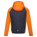 Orange Pepper-Seal Grey - Back - Regatta Childrens-Kids Kielder Hybrid VII Padded Jacket