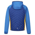 Strong Blue-New Royal - Back - Regatta Childrens-Kids Kielder Hybrid VII Padded Jacket