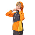 Orange Pepper-Seal Grey - Lifestyle - Regatta Childrens-Kids Kielder Hybrid VII Padded Jacket