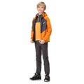 Orange Pepper-Seal Grey - Close up - Regatta Childrens-Kids Kielder Hybrid VII Padded Jacket