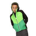 Black-Jasmine Green - Lifestyle - Regatta Childrens-Kids Kielder Hybrid VII Padded Jacket
