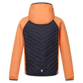 Apricot Crush-Seal Grey - Back - Regatta Childrens-Kids Kielder Hybrid VII Padded Jacket