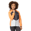 Apricot Crush-Seal Grey - Lifestyle - Regatta Childrens-Kids Kielder Hybrid VII Padded Jacket