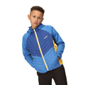 Strong Blue-New Royal - Lifestyle - Regatta Childrens-Kids Kielder Hybrid VII Padded Jacket