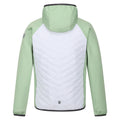 Quiet Green-White - Back - Regatta Childrens-Kids Kielder Hybrid VII Padded Jacket
