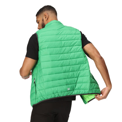 Field Green-Jasmine Green - Pack Shot - Regatta Mens Marizion Quilted Gilet