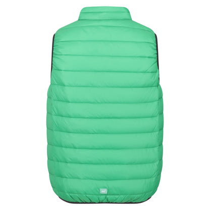 Field Green-Jasmine Green - Back - Regatta Mens Marizion Quilted Gilet