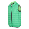 Field Green-Jasmine Green - Side - Regatta Mens Marizion Quilted Gilet
