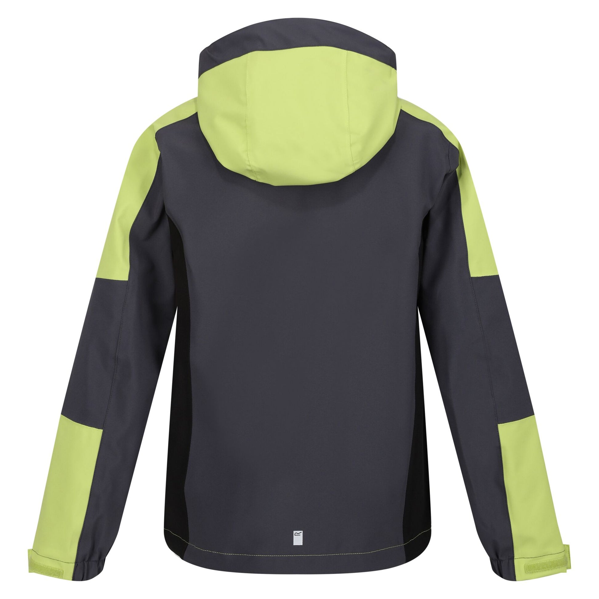 Seal Grey-Green Algae - Back - Regatta Childrens-Kids Highton IV Waterproof Jacket