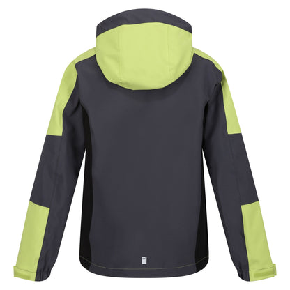 Seal Grey-Green Algae - Back - Regatta Childrens-Kids Highton IV Waterproof Jacket