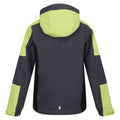 Seal Grey-Green Algae - Back - Regatta Childrens-Kids Highton IV Waterproof Jacket