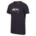 Seal Grey - Side - Regatta Mens Breezed III Above It All T-Shirt