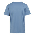 Coronet Blue - Back - Regatta Mens Fingal VIII Ocean T-Shirt