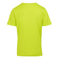 Citron Lime - Back - Regatta Mens Fingal VIII Geometric T-Shirt
