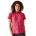 Flamingo Pink Potion - Lifestyle - Regatta Womens-Ladies Mindano VIII Ditsy Print Short-Sleeved Shirt