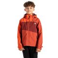 Cinnamon-Tuscan Red - Lifestyle - Dare 2B Childrens-Kids Explore II Waterproof Jacket