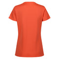Satsuma - Back - Regatta Womens-Ladies Fingal VIII Mountain T-Shirt