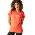 Satsuma - Lifestyle - Regatta Womens-Ladies Fingal VIII Mountain T-Shirt